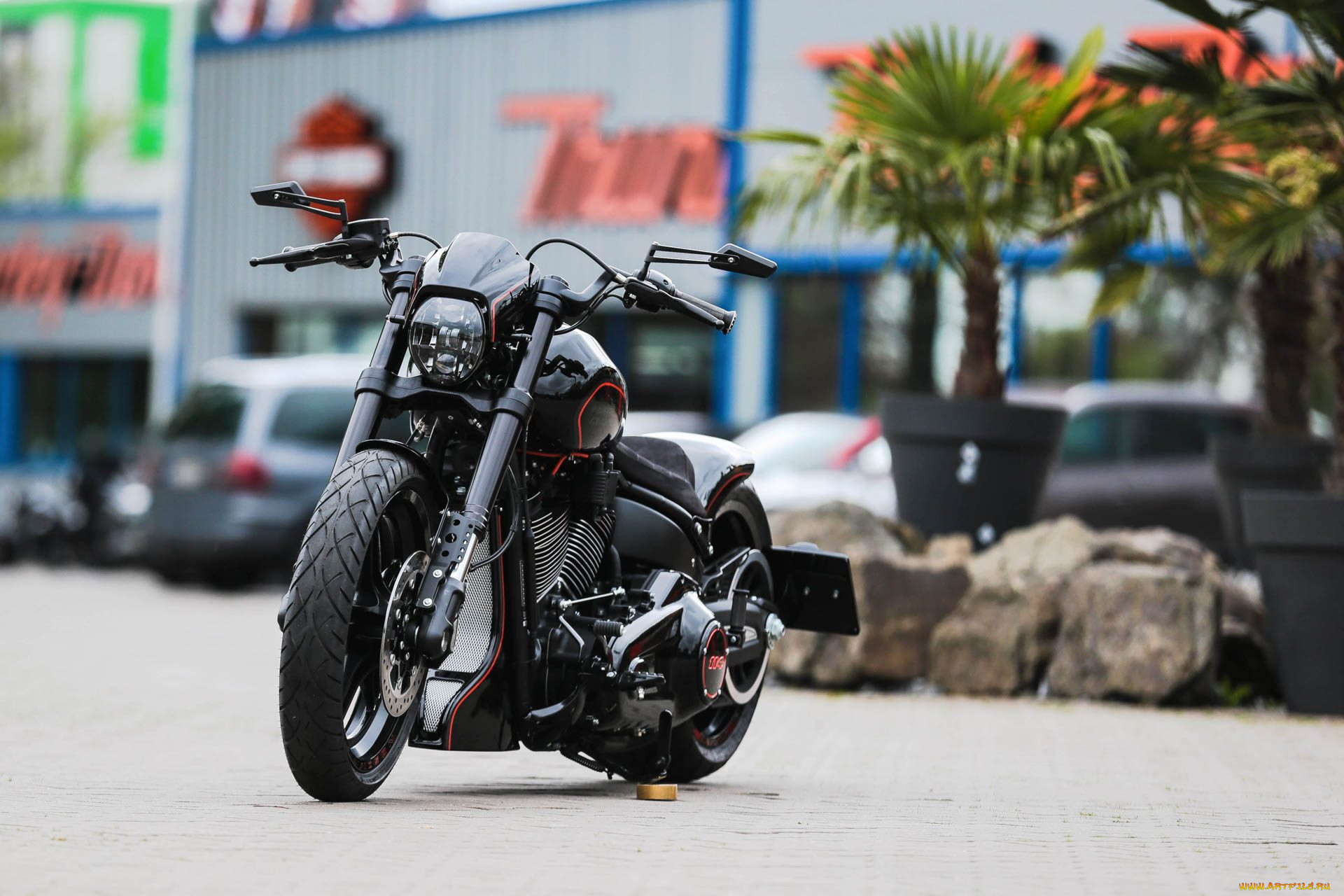 , , harley-davidson, , 
